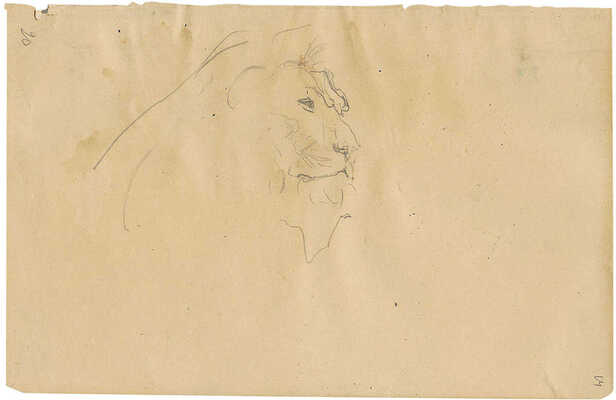 Серов Валентин Александрович. Голова льва 